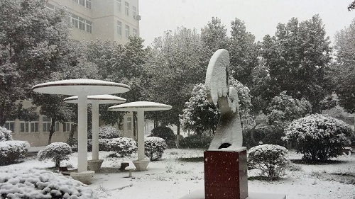 校园雪景.jpg